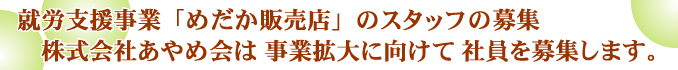 就労支援事業「めだか販売店」のスタッフ募集。株式会社あやめ会は、事業拡大に向けて、社員募集を行います。